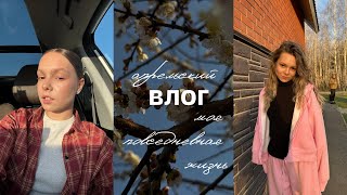 vlog || что в моей сумке? | отмечаем др моего мч  | почему я закрылась от соц.сетей?