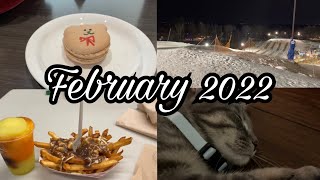 Dealing With a Female Kitten In Heat, Kitten Content, Going Tubing|February 2022