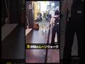 この猫のムーンウォークがたまらない♥ 伝説のビリージーン