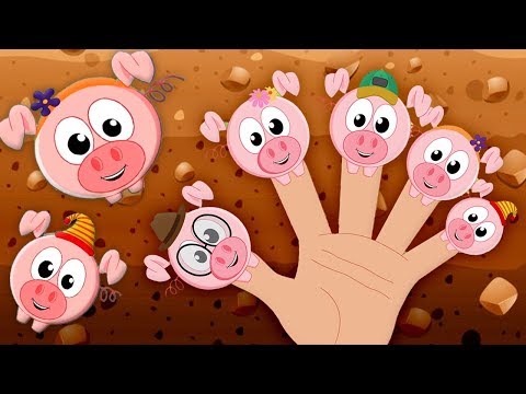 Video: Cerdo Con Dedos