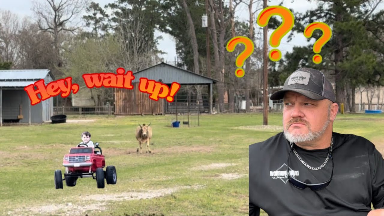 Mystery revealed and problem solved!