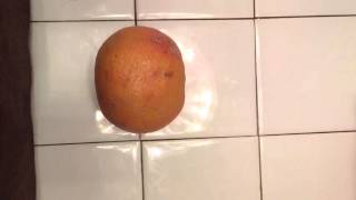 Time lapse of an exploding grapefruit (rubber band explosion!)