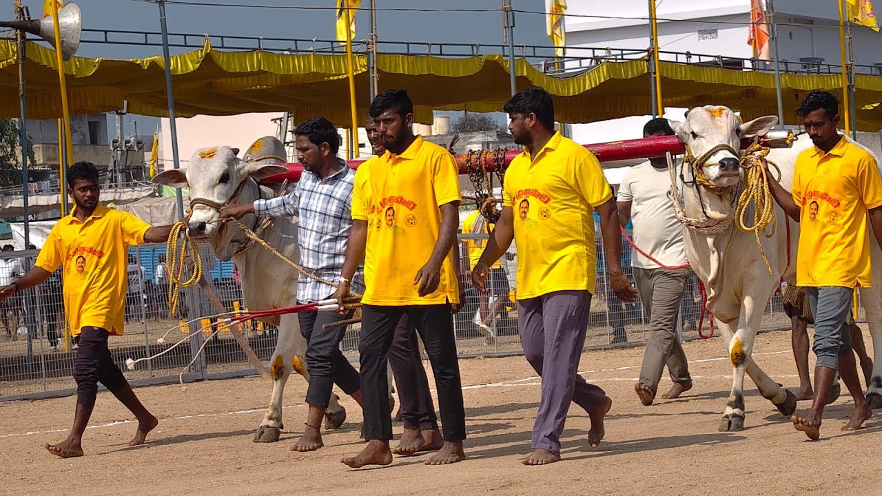 2026-చిలకలూరిపేట.2పళ్ళు.11వ జత.