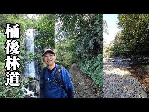 No application required to enter! Arrive with ease! Hiking Tonghou Forest Road and lAyu River