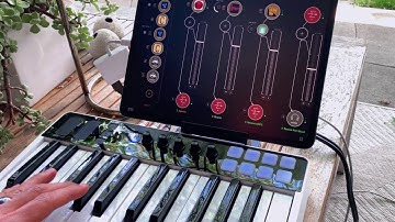 Sunday Session 000.1