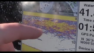 How to catch shad using fish finders.