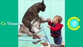 Top Vines June 2016 (Part 2) Vine compilation  - Co Vines✔