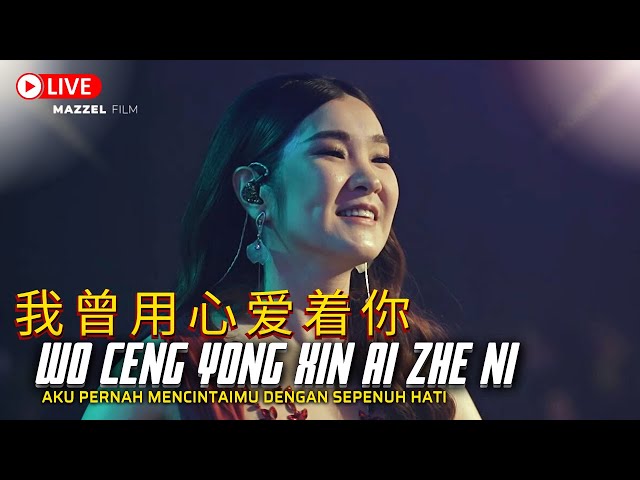 Wo Ceng Yong Xin Ai Zhe Ni《 我曾用心爱着你 》Desy Huang - 黄家美 class=