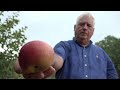 Saving Heirloom Apples from Extinction – Fit to Eat