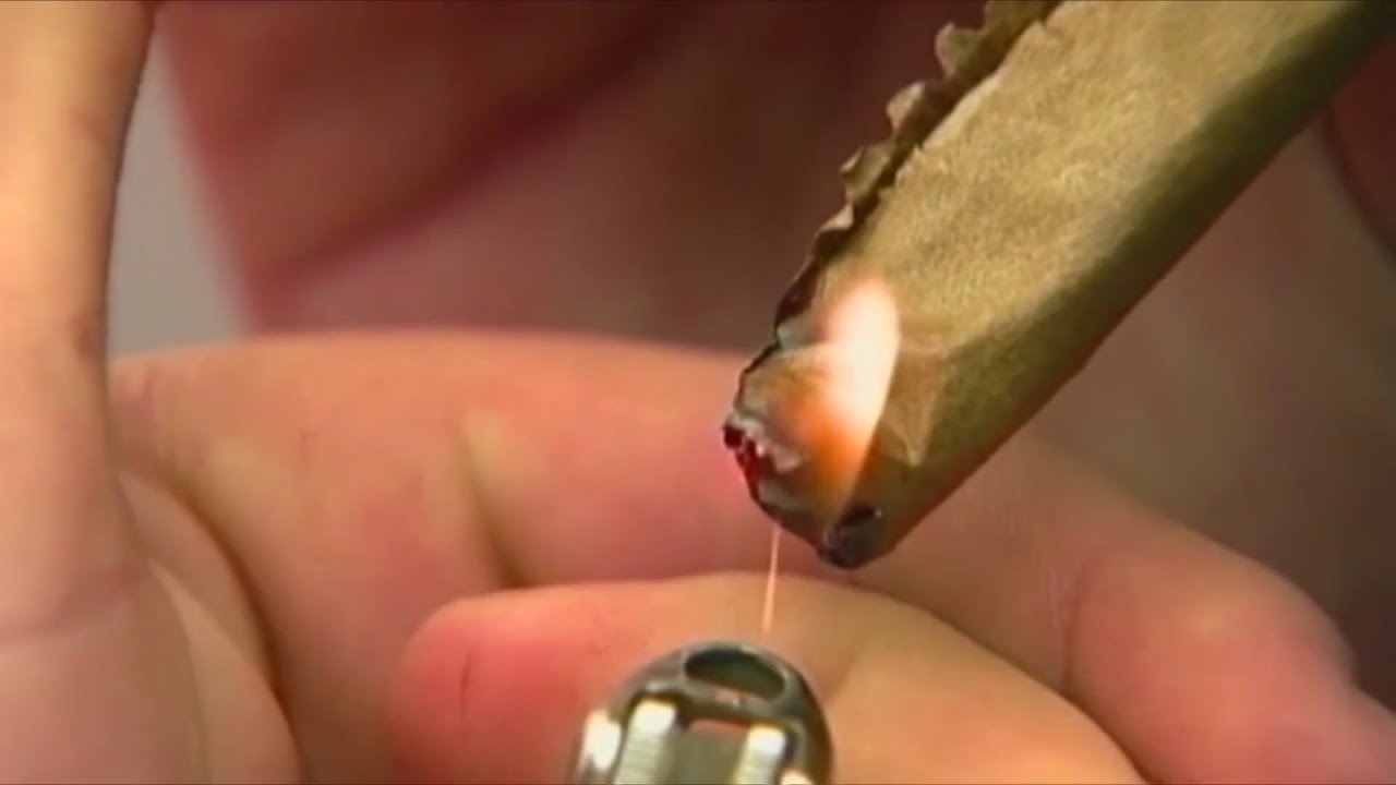 Virginia NORML hosts informational meeting on new marijuana law