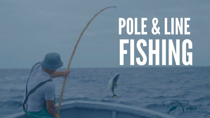 What is Pole and Line Fishing? 