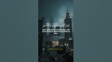إِنَّمَا يَخْشَى اللَّهَ مِنْ عِبَادِهِ الْعُلَمَاءُ //ما تيسر من سورة #فاطر  - آية 27 🎧🎧
