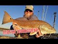 Surrounded by tailing redfish major keys to unlocking the bite