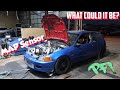 Sorting out This AWD K swap civic episode 1