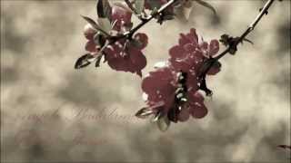 Angelo Badalamenti - Rose's Theme chords