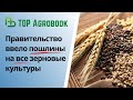 Правительство ввело пошлины на все зерновые культуры | TOP Agrobook: обзор аграрных новостей