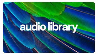Upbeat Tropical Electronic Music for Travel Vlogs 🌴 (No Copyright) | tubebackr - Amazonica