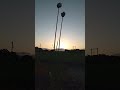 宮史郎【あなたの背中】