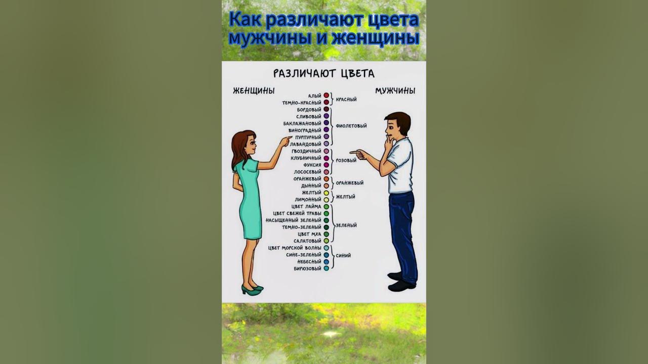 Видео как видит женщина. Как видят цвета мужчины и женщины. Различия между мужчиной и женщиной. Как видят цвета мужчины и женщины. Разница между мужчиной и женщиной картинки.