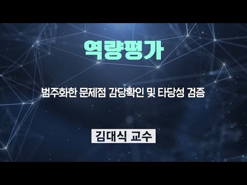 역량평가 - 기획보고서 - 범주화한 문제점 감당확인 및 타당성 검증