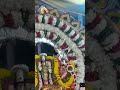 முருகப்பெருமான் ஆடு வாகனம் #omnamahshivaya #trending #vlogger