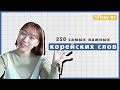 1 день -Учим с Чериш 250 необходимых корейских слов 한국어 250 단어 외우고 왕초보 탈출하기