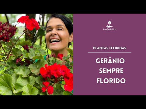 Vídeo: Plantar Companion Com Gerânios: O Que Plantar Com Flores De Gerânio
