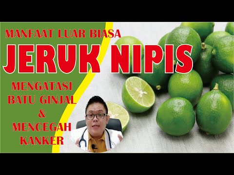 Video: Menuai Limau Nipis - Ketahui Cara Dan Bila Untuk Memetik Limau Nipis