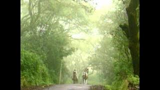 Tumne Rakh To Li Tasweer Hamari (Full Song) Film - Phir Lehraya Lal Dupatta