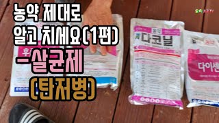 살균제 제대로 알고 쳐야 약효과가 확실하게 나옵니다