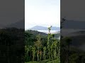 KᗩᑭᑭᗩTTᑌᗰᗩᒪᗩ ᐯIEᗯ ᑭOIᑎT   ｗａｙａｎａｄ #instagram #travel #wayanad #kerala #reels #reelsvideo #viralvideo