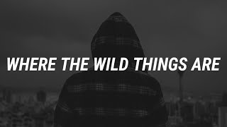 Luke Combs - Where The Wild Things Are (Lyrics)