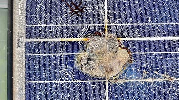 Solar Panel Electrical Fires - How and Why They Start On Fire