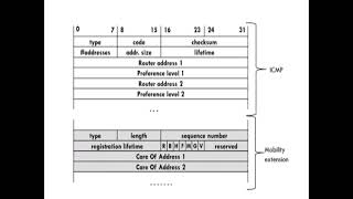 Agent Discovery and Advertisement |  Mobile IP | Mobile Network Layer  | Mobile Computing
