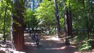 Family Bike Ride - Yosemite National Park