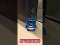 walking on the moon fight #videos #viral #shorts