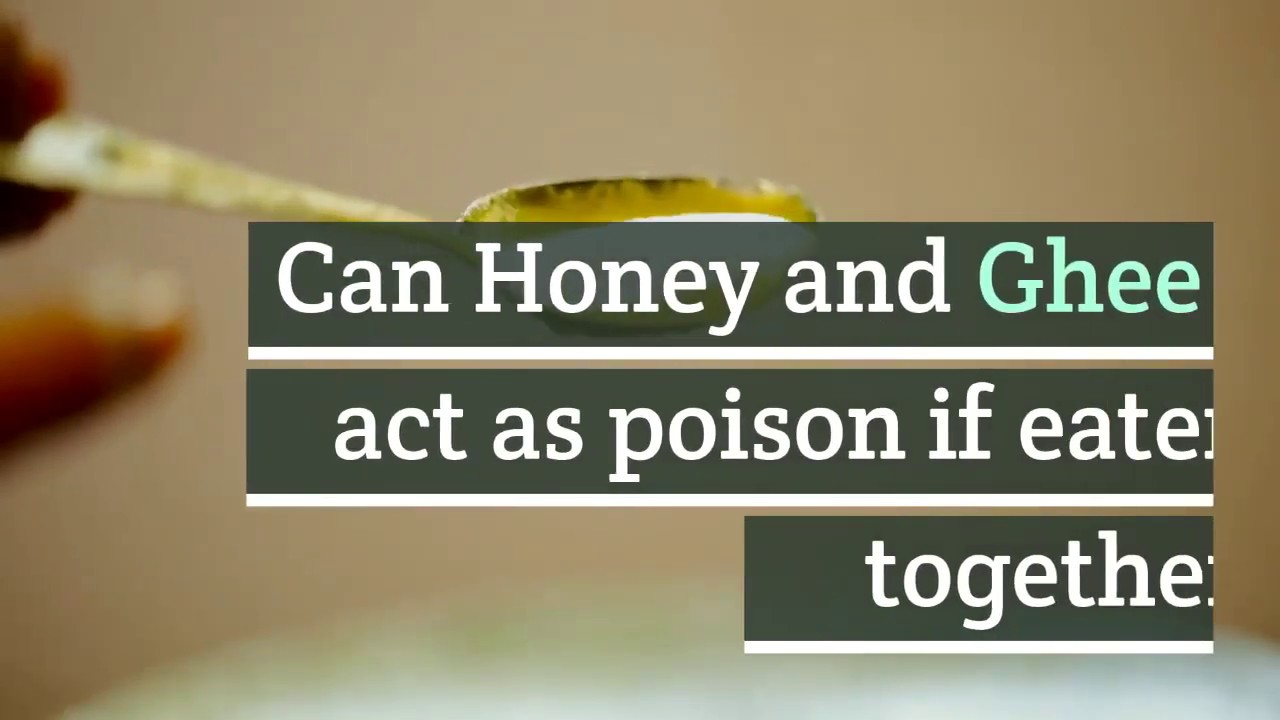 Truth Revealed Honey and Ghee (Milk Fat) can it act as a poison, if eaten together? YouTube