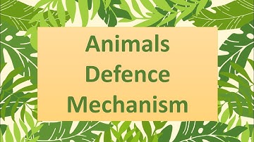 Animal Defence Mechanisms l Know how animals protect themselves I General Knowledge ll