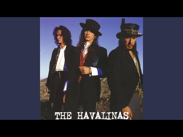 The Havalinas - Sticks´n´stones