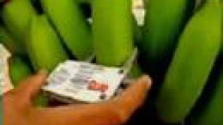 Dole Organic Banana Reviews