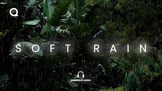 Relaxing Soft Rain On Leaves In Forest • Immersive Audio Experience