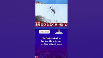 Hàn Quốc: Cháy rừng lan rộng do kiểm soát do gió mạnh