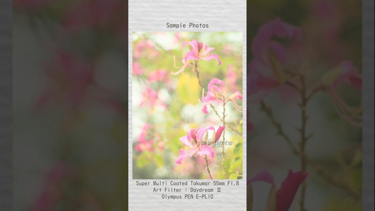 【JPEG撮って出し作例】Pentax Super Multi Coated Takumar 55mm F1.8 + オリンパスアートフィルターデイドリームⅡ | 台湾-高雄中央公園編