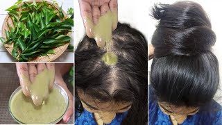 I applied this Scalp Serum-For Non Stop Triple Hair Growth &amp; Hair Density- गंजे सर में भी उगे नए बाल