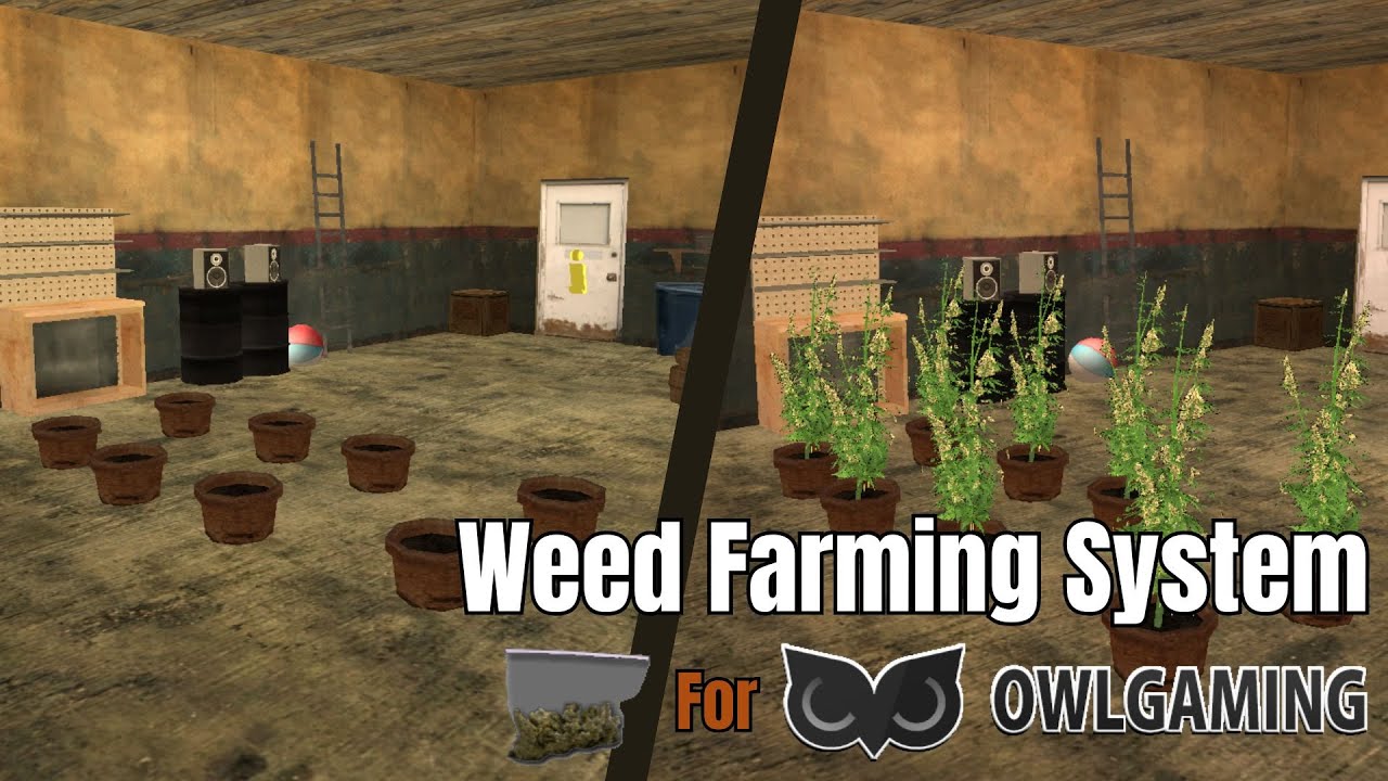 [SA:RP] MTA:SA Roleplay Marijuana Farming Script - YouTube