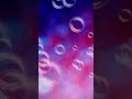 سهيلة بلشهب كوفر ليك منوليش mp3