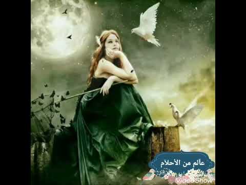 شاديه يا طير طيري يا حمامه