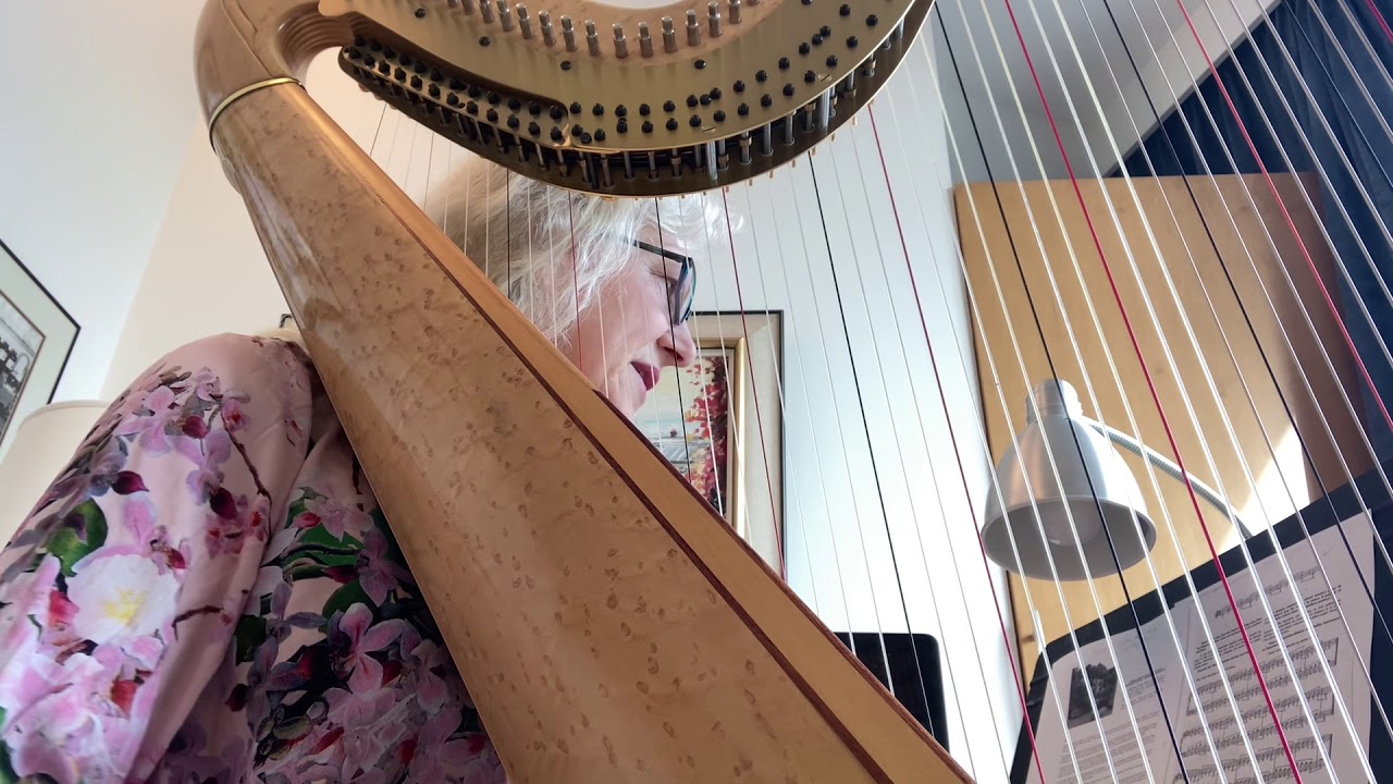 Page 13 from Method for the Harp by Salzedo