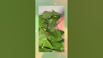 Cách bảo quản rau tươi xanh trong tủ lạnh #shorts #shortsvideo