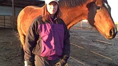 Juli Lynch 2013